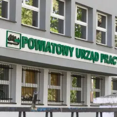 Kiedy zgłosić się do urzędu pracy po studiach, aby nie stracić prawa do zasiłku