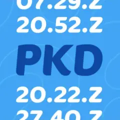 Ryczałt 12 jakie pkd - uniknij błędów w klasyfikacji działalności