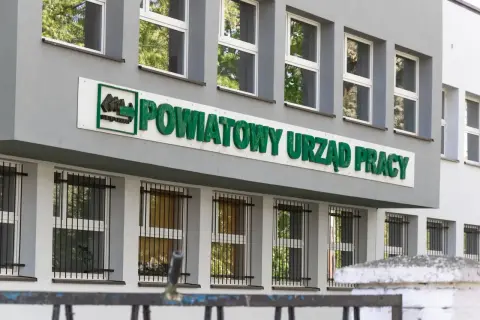Kiedy zgłosić się do urzędu pracy po studiach, aby nie stracić prawa do zasiłku