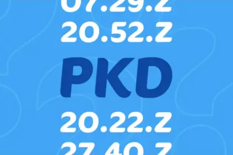 Ryczałt 12 jakie pkd - uniknij błędów w klasyfikacji działalności