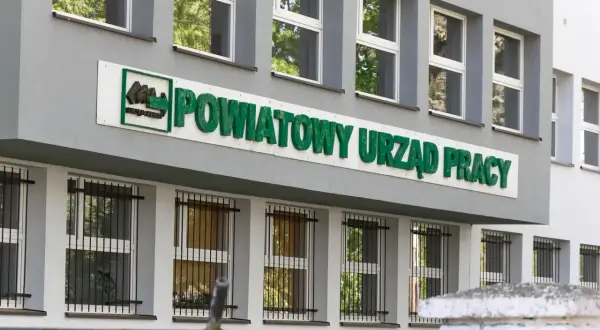 Kiedy zgłosić się do urzędu pracy po studiach, aby nie stracić prawa do zasiłku