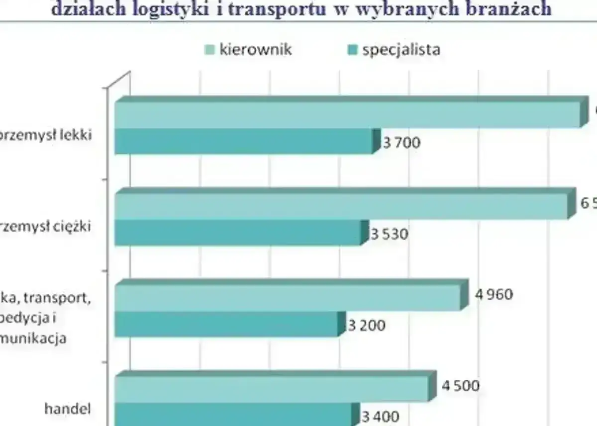 Ile zarabia logistyk po studiach? Realne widełki i ścieżki