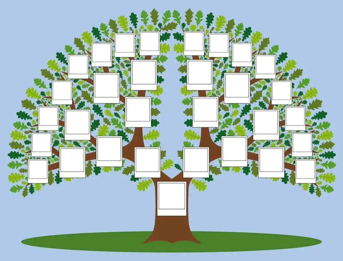 Zdjęcie Jak zrobić drzewo genealogiczne w PowerPoint bez zbędnych trudności